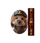 ange❤︎（個別スタンプ：7）