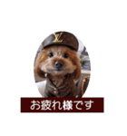 ange❤︎（個別スタンプ：12）