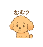 ⭐︎トイプードル⭐︎（日常使い・手書き風）（個別スタンプ：2）