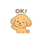 ⭐︎トイプードル⭐︎（日常使い・手書き風）（個別スタンプ：3）