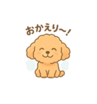 ⭐︎トイプードル⭐︎（日常使い・手書き風）（個別スタンプ：4）