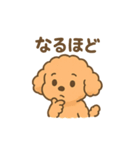 ⭐︎トイプードル⭐︎（日常使い・手書き風）（個別スタンプ：6）
