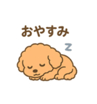 ⭐︎トイプードル⭐︎（日常使い・手書き風）（個別スタンプ：8）