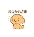 ⭐︎トイプードル⭐︎（日常使い・手書き風）（個別スタンプ：9）