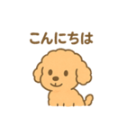 ⭐︎トイプードル⭐︎（日常使い・手書き風）（個別スタンプ：10）