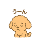⭐︎トイプードル⭐︎（日常使い・手書き風）（個別スタンプ：12）
