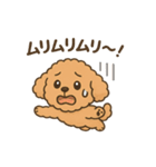 ⭐︎トイプードル⭐︎（日常使い・手書き風）（個別スタンプ：15）