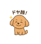 ⭐︎トイプードル⭐︎（日常使い・手書き風）（個別スタンプ：16）