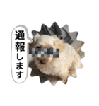 かわいいお犬様（挨拶）（個別スタンプ：6）