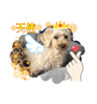 かわいいお犬様（挨拶）（個別スタンプ：13）