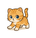 ネコの可愛いは正義スタンプ(文字無し)（個別スタンプ：13）