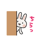 白うさぎん（個別スタンプ：20）