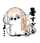 新・B＆Wシーズー犬 2025 「夏です」（個別スタンプ：7）