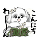 新・B＆Wシーズー犬 2025 「夏です」（個別スタンプ：9）