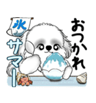 新・B＆Wシーズー犬 2025 「夏です」（個別スタンプ：11）