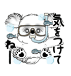 新・B＆Wシーズー犬 2025 「夏です」（個別スタンプ：14）