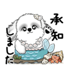 新・B＆Wシーズー犬 2025 「夏です」（個別スタンプ：16）