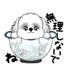 新・B＆Wシーズー犬 2025 「夏です」（個別スタンプ：18）