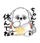 新・B＆Wシーズー犬 2025 「夏です」（個別スタンプ：22）
