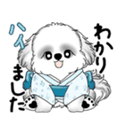新・B＆Wシーズー犬 2025 「夏です」（個別スタンプ：24）