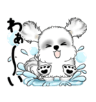 新・B＆Wシーズー犬 2025 「夏です」（個別スタンプ：27）