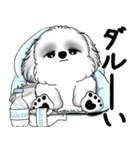新・B＆Wシーズー犬 2025 「夏です」（個別スタンプ：30）