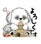 新・B＆Wシーズー犬 2025 「夏です」（個別スタンプ：31）