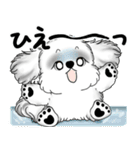 新・B＆Wシーズー犬 2025 「夏です」（個別スタンプ：33）