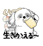新・B＆Wシーズー犬 2025 「夏です」（個別スタンプ：36）