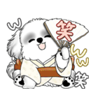 新・B＆Wシーズー犬 2025 「夏です」（個別スタンプ：38）
