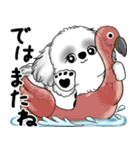 新・B＆Wシーズー犬 2025 「夏です」（個別スタンプ：39）