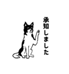 カナーンドッグのスタンプ【敬語】（個別スタンプ：2）