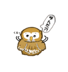 フクロウのくーちゃん ファイト！（個別スタンプ：12）