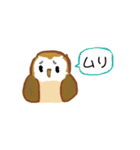 フクロウのくーちゃん ファイト！（個別スタンプ：22）