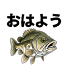 ブラックバスとその仲間たち【第二弾】（個別スタンプ：4）