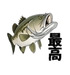 ブラックバスとその仲間たち【第二弾】（個別スタンプ：8）
