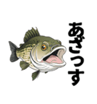ブラックバスとその仲間たち【第二弾】（個別スタンプ：13）