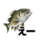 ブラックバスとその仲間たち【第二弾】（個別スタンプ：15）