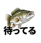ブラックバスとその仲間たち【第二弾】（個別スタンプ：19）