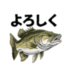 ブラックバスとその仲間たち【第二弾】（個別スタンプ：23）