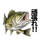 ブラックバスとその仲間たち【第二弾】（個別スタンプ：25）
