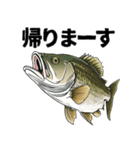 ブラックバスとその仲間たち【第二弾】（個別スタンプ：26）