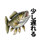 ブラックバスとその仲間たち【第二弾】（個別スタンプ：28）