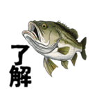 ブラックバスとその仲間たち【第二弾】（個別スタンプ：29）