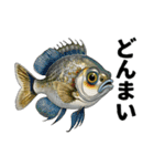 ブラックバスとその仲間たち【第二弾】（個別スタンプ：34）