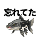 ブラックバスとその仲間たち【第二弾】（個別スタンプ：36）