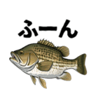 ブラックバスとその仲間たち【第二弾】（個別スタンプ：37）