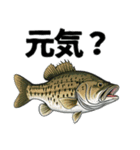 ブラックバスとその仲間たち【第二弾】（個別スタンプ：38）