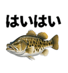 ブラックバスとその仲間たち【第二弾】（個別スタンプ：39）