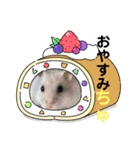 ハムチャン？（個別スタンプ：2）